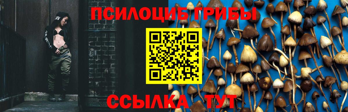 Галлюциногенные грибы мухоморы  Вход с VPN  Сухой Лог 