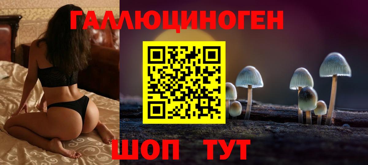 Псилоцибиновые грибы Psilocybe Сухой Лог